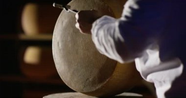 Süper ağır çekim orta yaşlı peynir maker'ın İtalyan Parmesan peynir/kahvaltilari Reggiano kalite kontrol için tekerlek keser (yakın)