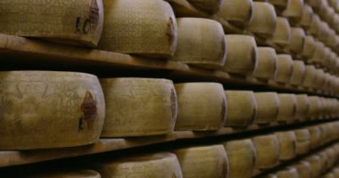 raflarda Parmesan peyniri ile fabrika yavaş hareket video