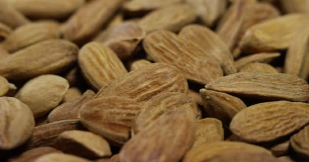 Video Brown Dried Almonds Nuts — Stock Video
