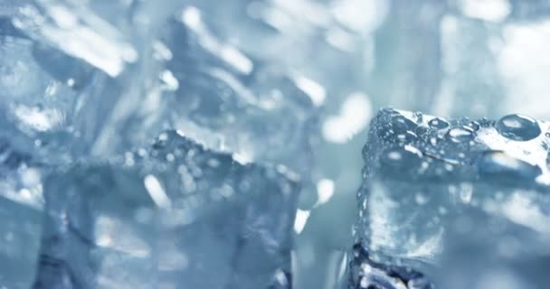 közelről videó az olvadó jég-kocka 