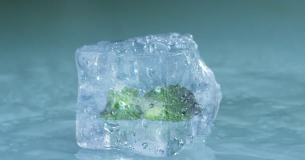 白い背景にスローモーションで溶かす純粋な水氷のキューブのマクロ撮影 コンセプト 純粋な山の温泉水 カクテル 新鮮な冷凍食材 — ストック動画