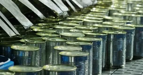 Video Latas Aluminio Húmedo Transportador — Vídeo de stock