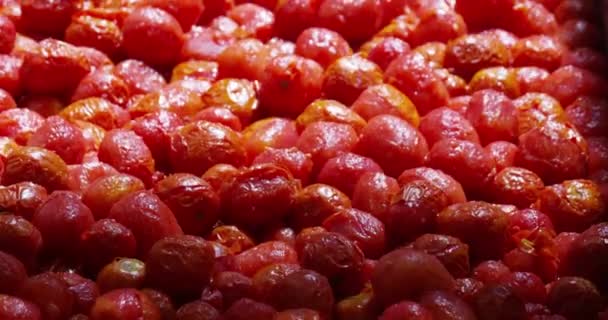 Video Tomates Rojos Limpios Moviéndose Transportador — Vídeos de Stock