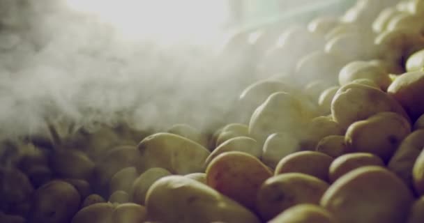 Super Slow Motion Makro Rökt Potatis Närbild — Stockvideo