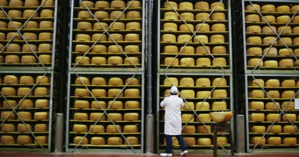 棚にパルメザンチーズと工場のビデオ 倉庫で丸いチーズを取る労働者の男 — ストック動画