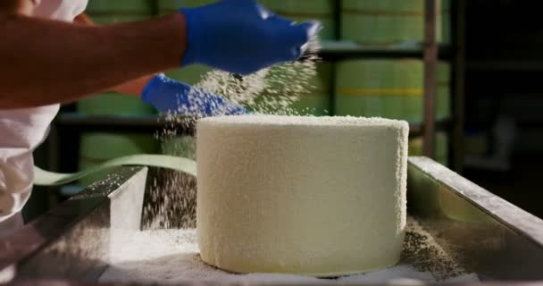 在奶酪行业 一个主要的奶酪制造商混合牛奶和凝乳 使帕玛森的形式 奶酪制造商这样做是按照意大利的古老传统 帕玛森 — 图库视频影像