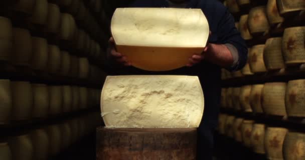 中年奶酪制造商的超级慢动作切割意大利帕玛森奶酪的车轮 帕米贾诺雷吉亚诺质量控制 — 图库视频影像
