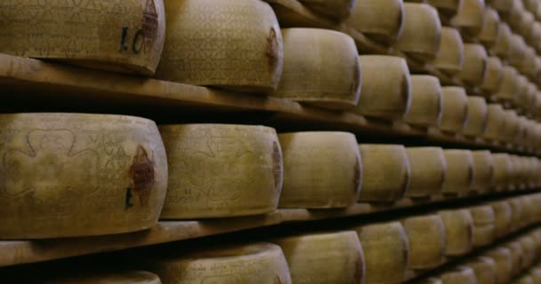 棚にパルメザンチーズと工場のスローモーションビデオ — ストック動画
