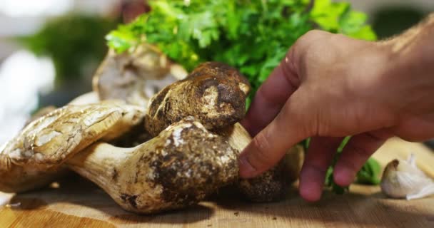 Vídeo Câmera Lenta Mãos Chef Segurando Cogumelos Mesa Com Salsa — Vídeo de Stock
