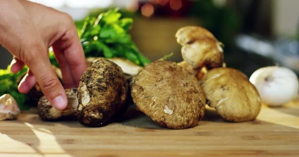 一名厨师选择刚摘下的意大利蘑菇的优良的品质 要能做饭 意大利饮食的概念 健康和健康的饮食 — 图库视频影像