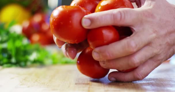 Αργή Κίνηση Βίντεο Των Χεριών Κρατώντας Υγρές Πλυμένες Κόκκινες Ντομάτες — Αρχείο Βίντεο