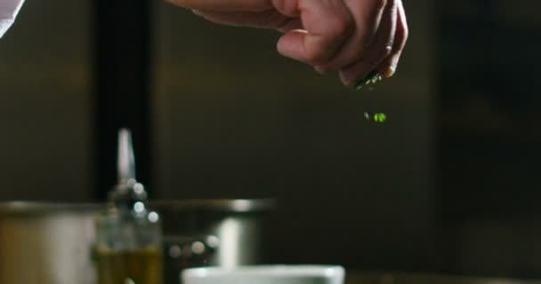 Рука Молодого Експерта Шеф Кухаря Обережно Торкається Вибирає Один Інгредієнтів — стокове відео