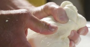 Ev yapımı peynir üreticisi, sabahları inek koyunlarından taze süt ile el yapımı mozzarella üretiyor. Gelenek kavramı: İtalya, mozzarella.
