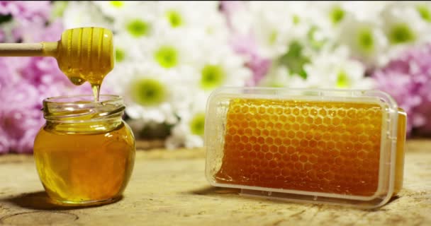Biologische Echte Honing Druppels Een Pot Honingraat Druipende Honing Zwarte — Stockvideo