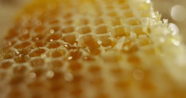 Jar 中的生物和真正的蜂蜜滴 我蜂窝滴蜂蜜 黑色背景和一张木桌 它通过从澳大利亚蜜蜂和蜂蜜下跌慢动作 — 图库视频影像