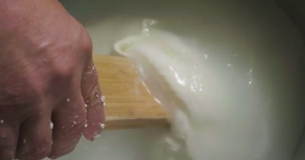 Homemade Cheese Producer Produces Handmade Mozzarella Fresh Quality Milk Her — Stock Video