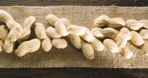 Macro Shot Peanuts Drop Oil Falling Them Symbol Genuine Peanut — Stock Video