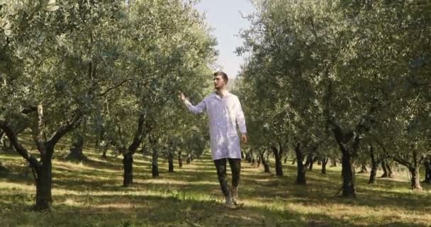 グリーン オリーブの木のプランテーションで歩いている白衣の男のスロー モーション ビデオ — ストック動画