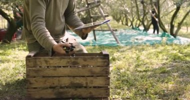 Ahşap kutusunda siyah zeytin kapma ve dijital tablet kullanarak kişi video 