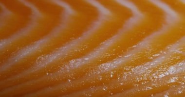 tam kare video, dilim taze somon balık et 