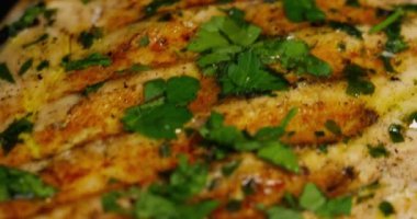 pişmiş balık eti yakın video 