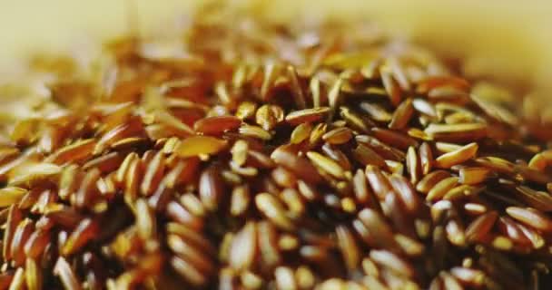 Uzavření Klesající Hnědé Rýže — Stock video