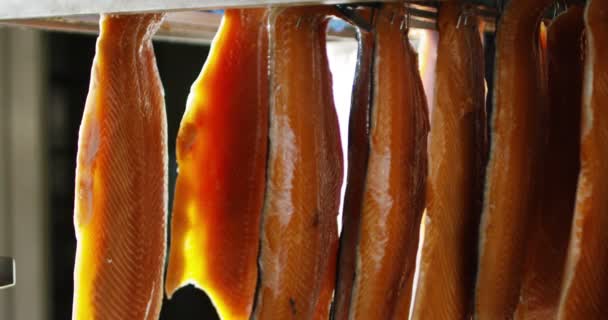 Замедленный Просмотр Подвешивания Филе Рыбы Рынке Морепродукты — стоковое видео