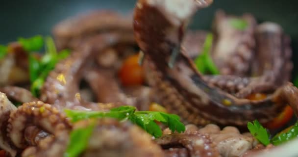 章鱼在水中轻轻泡泡 而它是由厨师与传统的意大利食谱煮熟 — 图库视频影像
