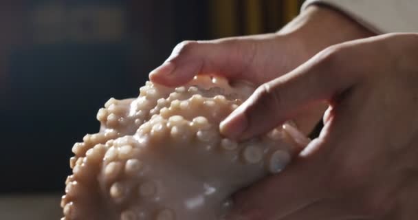 Krake Blubbert Sanft Wasser Während Sie Von Einem Koch Nach — Stockvideo