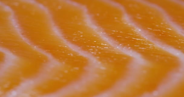 Close Video Slice Fresh Orange Salmon Fish Meat — Stock Video