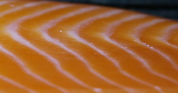 クローズ アップ新鮮なビデオ スライス サーモン魚の肉 — ストック動画