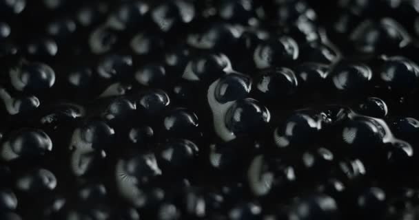 Close Vídeo Aperitivo Caviar Preto — Vídeo de Stock