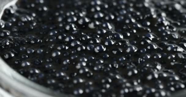 Close Girando Vídeo Aperitivo Caviar Preto — Vídeo de Stock