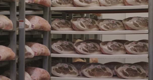 在一家火腿肠工厂里 按照意大利古代传统经历了各种工艺后 会有火腿挂在季节里 意大利 — 图库视频影像