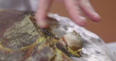 Close-up ve eski İtalyan geleneği öğrettiği gibi kalıplar korumak lezzet vermek için terbiyeli önce ham yağ ile toplar bir el. Kavramı: gelenek, İtalya, gıda.