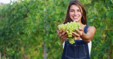 holding ve yeşil üzüm kamerada gösteriyor üzüm çiftçi kadın video 