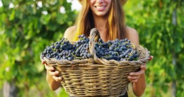 sepet üzüm hasat ile tutarak bağ içinde çiftçi kadın video 