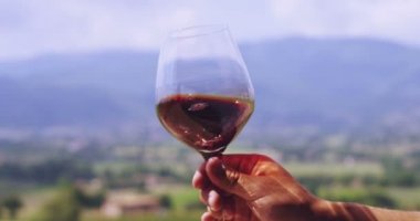 Yavaş, orta yaşlı kırmızı şarap döktü doğal üzüm bağı panoramik arka plan şeffaf cam sommelier kokuyor (yakın)