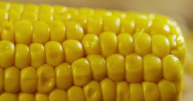 Lezzetli mısır koçan yakın