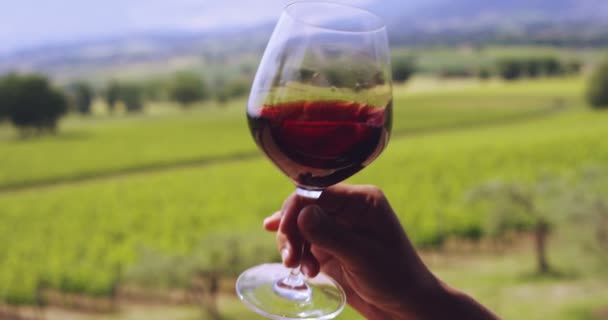 Zeitlupe Eines Sommeliers Mittleren Alters Riecht Rotwein Der Transparentem Glas — Stockvideo