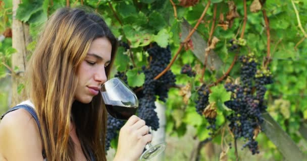 Movimiento Lento Sommelier Mediana Edad Huele Vino Tinto Vertido Vidrio — Vídeos de Stock