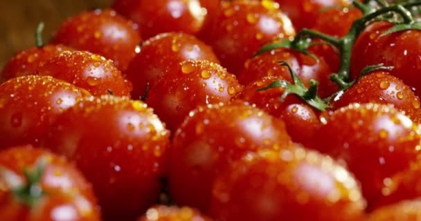 Video Van Verse Natte Gewassen Rode Tomaten Met Waterdruppels — Stockvideo