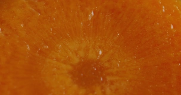 Macro Una Zanahoria Rica Vitamina Zanahoria También Contiene Muchos Minerales — Vídeo de stock