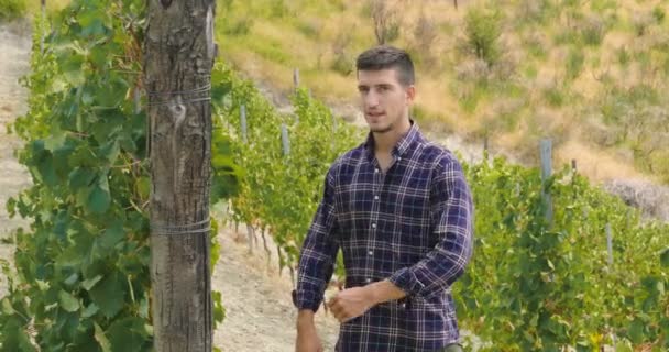 Vídeo Agricultor Homem Plantação Vinha — Vídeo de Stock