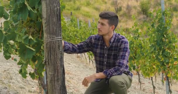 Vídeo Agricultor Homem Plantação Vinha — Vídeo de Stock