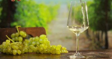 Sommelier cam yavaş İtalyan beyaz şarap dökme bağ içinde