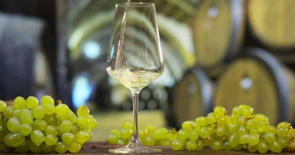 Сомелье Винограднике Наливает Итальянское Белое Вино Бокал Замедленной Съемке — стоковое видео