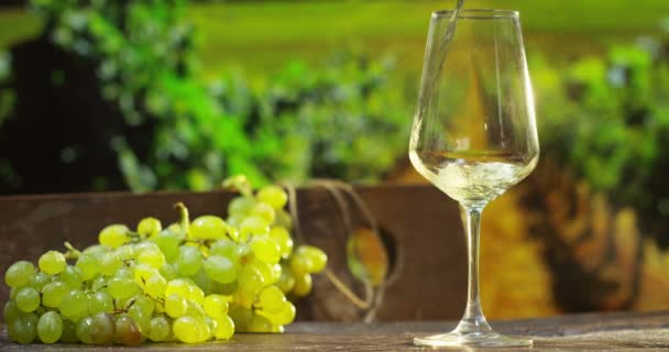sommelier na vinici nalil italské bílé víno ve skle v pomalém pohybu