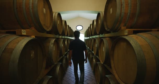 Slow Motion Video Back View Man Walking Winery Factory Barrels — Stock Video