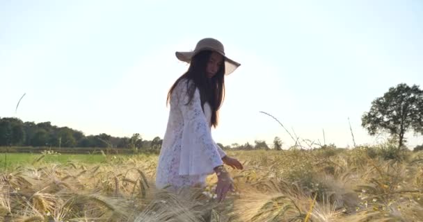 Mujer Caminando Campo Trigo Tocando Las Espigas Trigo Campo Naturaleza — Vídeos de Stock